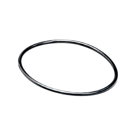 Pentair OmniFilter Rubber Replacement O-Ring 2 pk OK7-DC6-S06